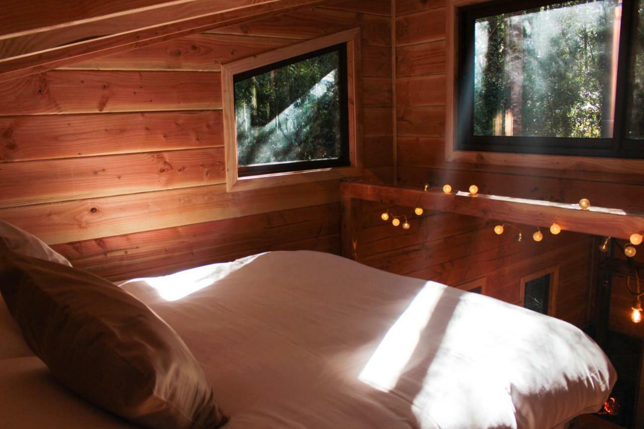 Cabanas Bosque Milenario Coñaripe Exterior foto