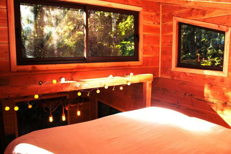 Cabanas Bosque Milenario Coñaripe Exterior foto
