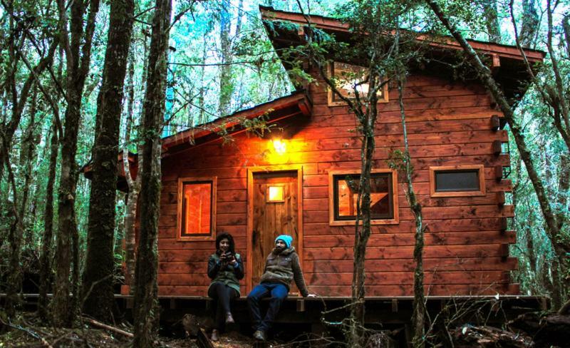 Cabanas Bosque Milenario Coñaripe Exterior foto