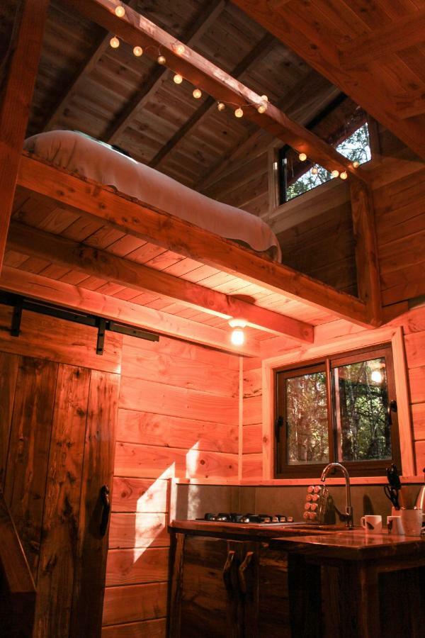 Cabanas Bosque Milenario Coñaripe Exterior foto
